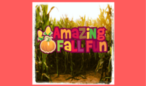 Amazing Fall Fun